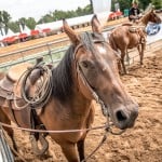 FriendsFest-2019-166(JZ5_5062)