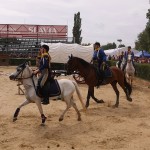 DSC05049
