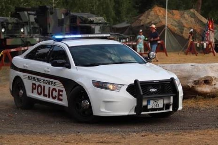 Ford Police Interceptor