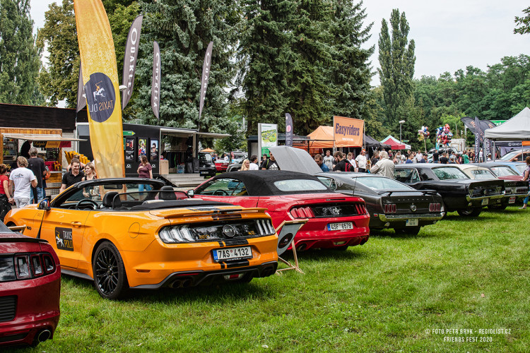 A meeting of Mustangs