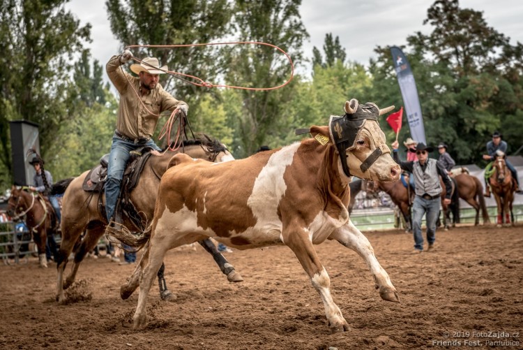 RODEO ARÉNA, KONĚ, WESTERN